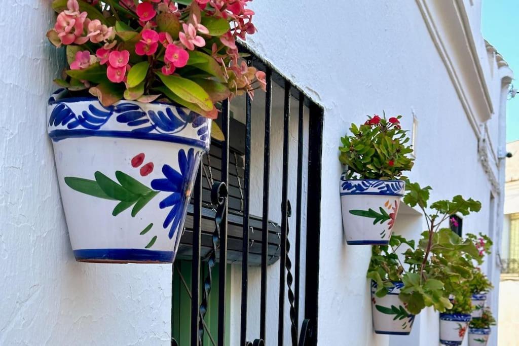 La Casita Del Molino. Old Town Centre. Holiday home